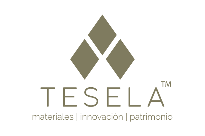 logo tesela PNG