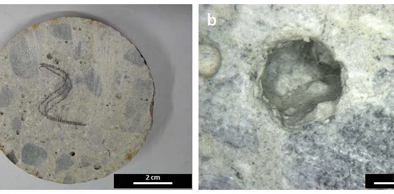 COMPOSITIONAL STUDY OF A CONCRETE PAVEMENT WITH RESIDENTIAL CAR PARK PATHOLOGIES 1 Informe Hormigon con patologias unlocked 35 1
