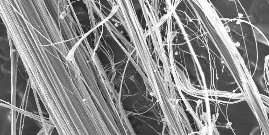 amianto microscopio tesela jpg webp Amianto visto a través de un microscopio