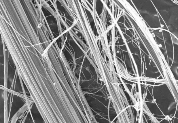 amianto microscopio tesela jpg webp