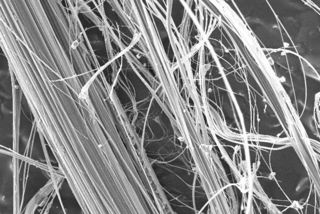Amianto visto a través de un microscopio