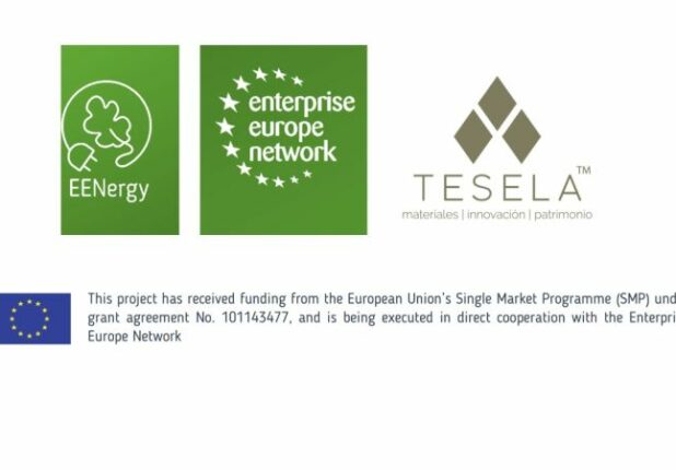 eenergy tesela