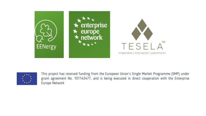 eenergy tesela