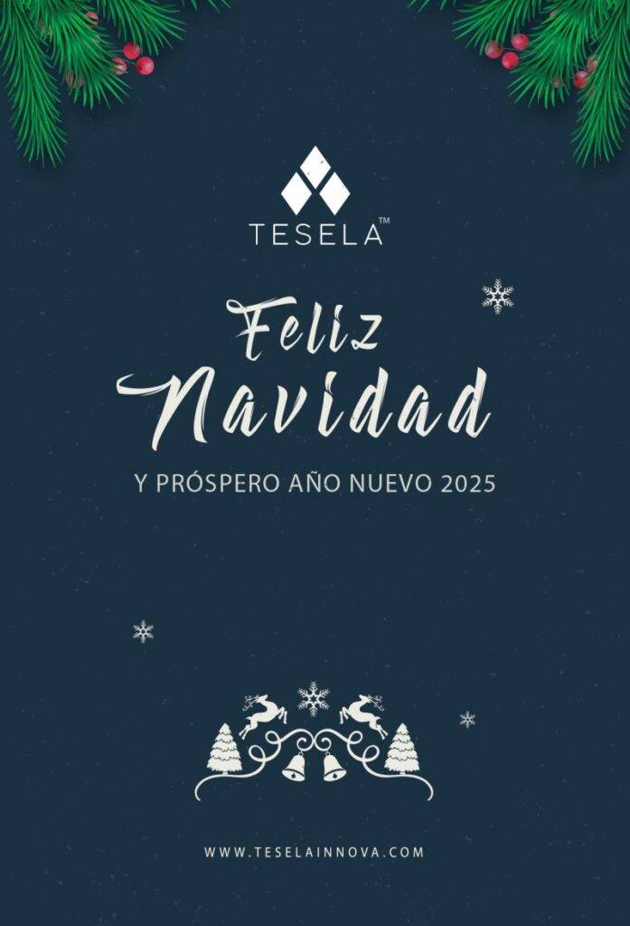 FELICITACION NAVIDAD TESELA 1