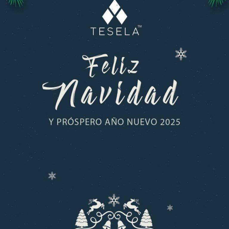 FELICITACION NAVIDAD TESELA 1