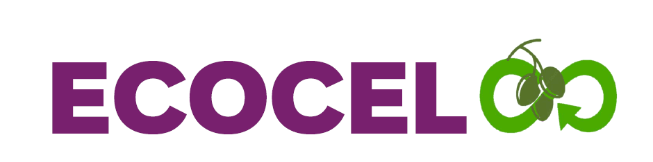 PROJET CDTI. ECOCEL 1 Captura de pantalla 2025 11 11 112240