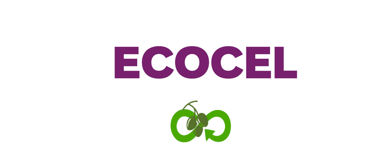 🌿 Lancement du projet ECOCEL 🌿 2 logo ecocel