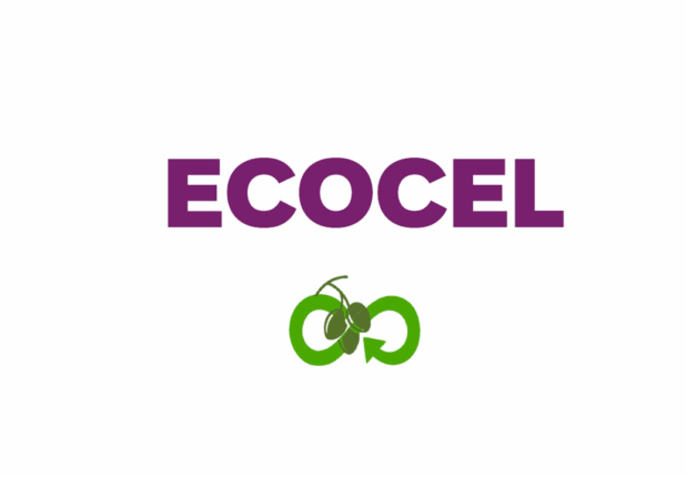 logo ecocel