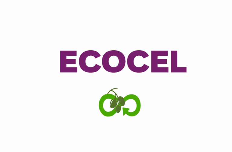 🌿 Lancement du projet ECOCEL 🌿 1 logo ecocel