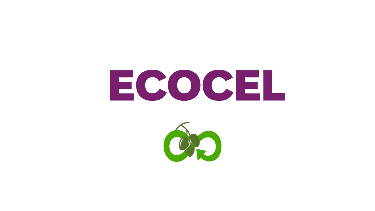 logo ecocel