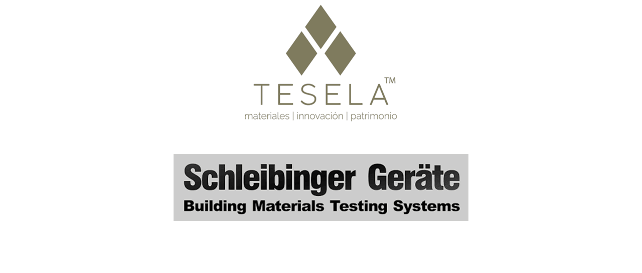 TESELA SCHLEIBINGER logos TESELA SCHLEIBINGER logos