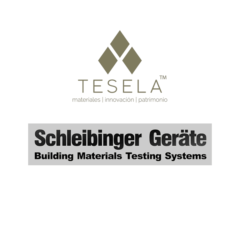 TESELA SCHLEIBINGER logos