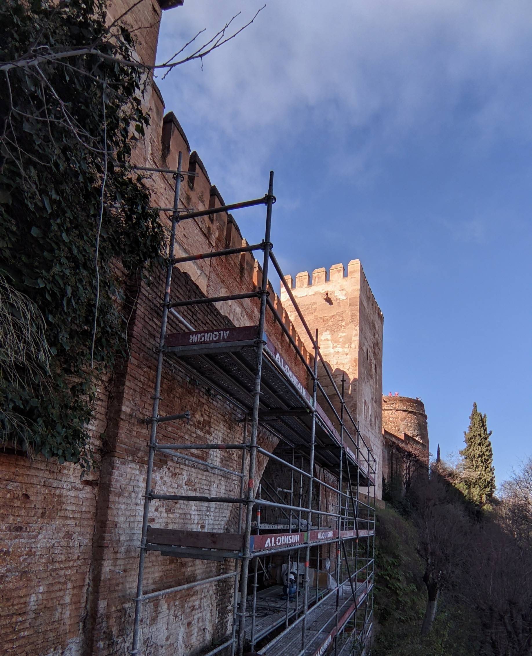 PXL 20260217 102011317